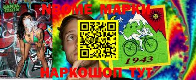 сатива Новодвинск