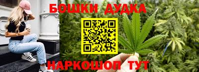 сатива Новодвинск