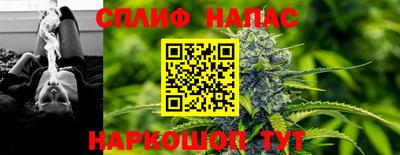 сатива Новодвинск