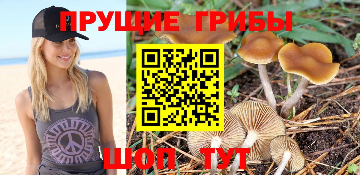 Галлюциногенные грибы MAGIC MUSHROOMS  Вход с VPN  Усть-Илимск 
