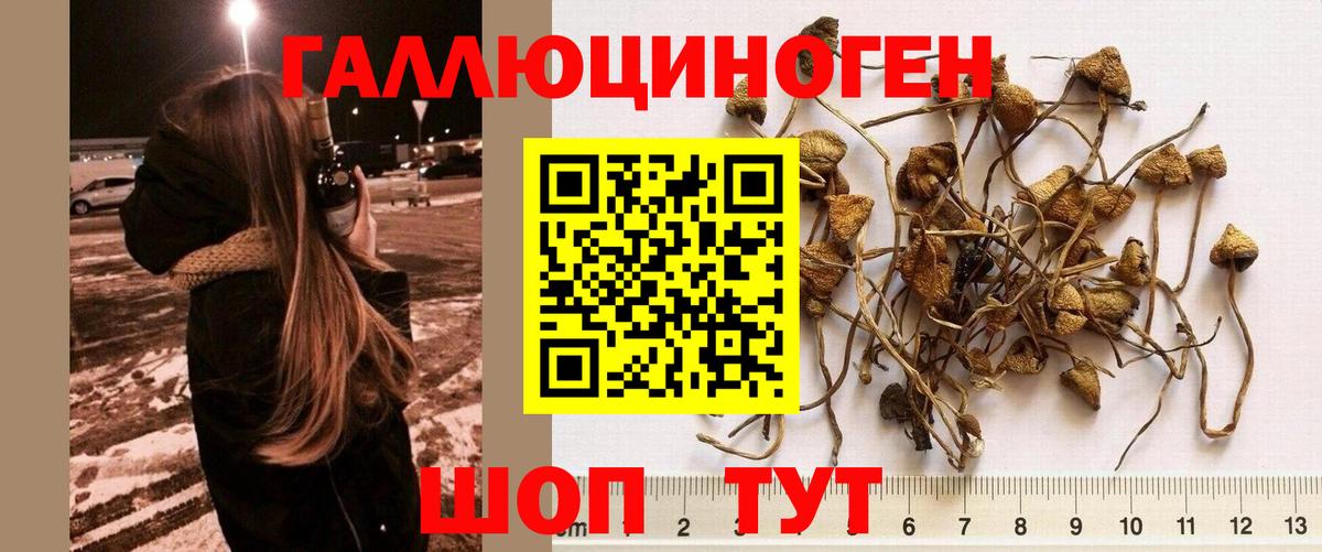 Галлюциногенные грибы ЛСД Усть-Илимск